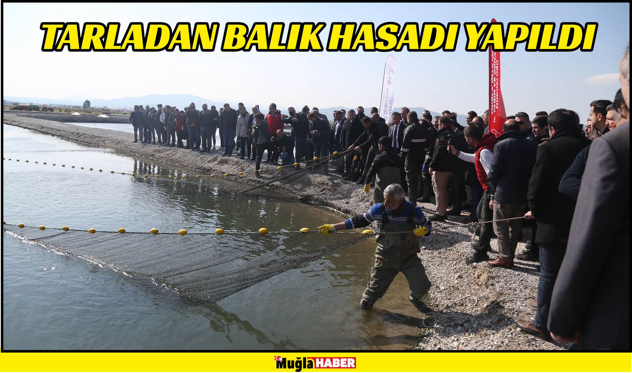 tarladan balık hasadı yapıldı