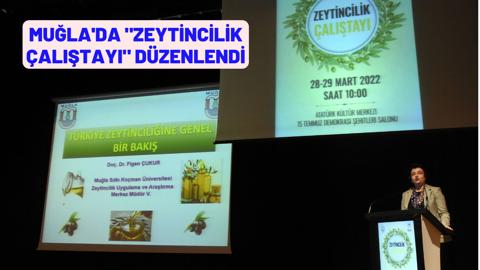 Muğla'da "Zeytincilik Çalıştayı" düzenlendi