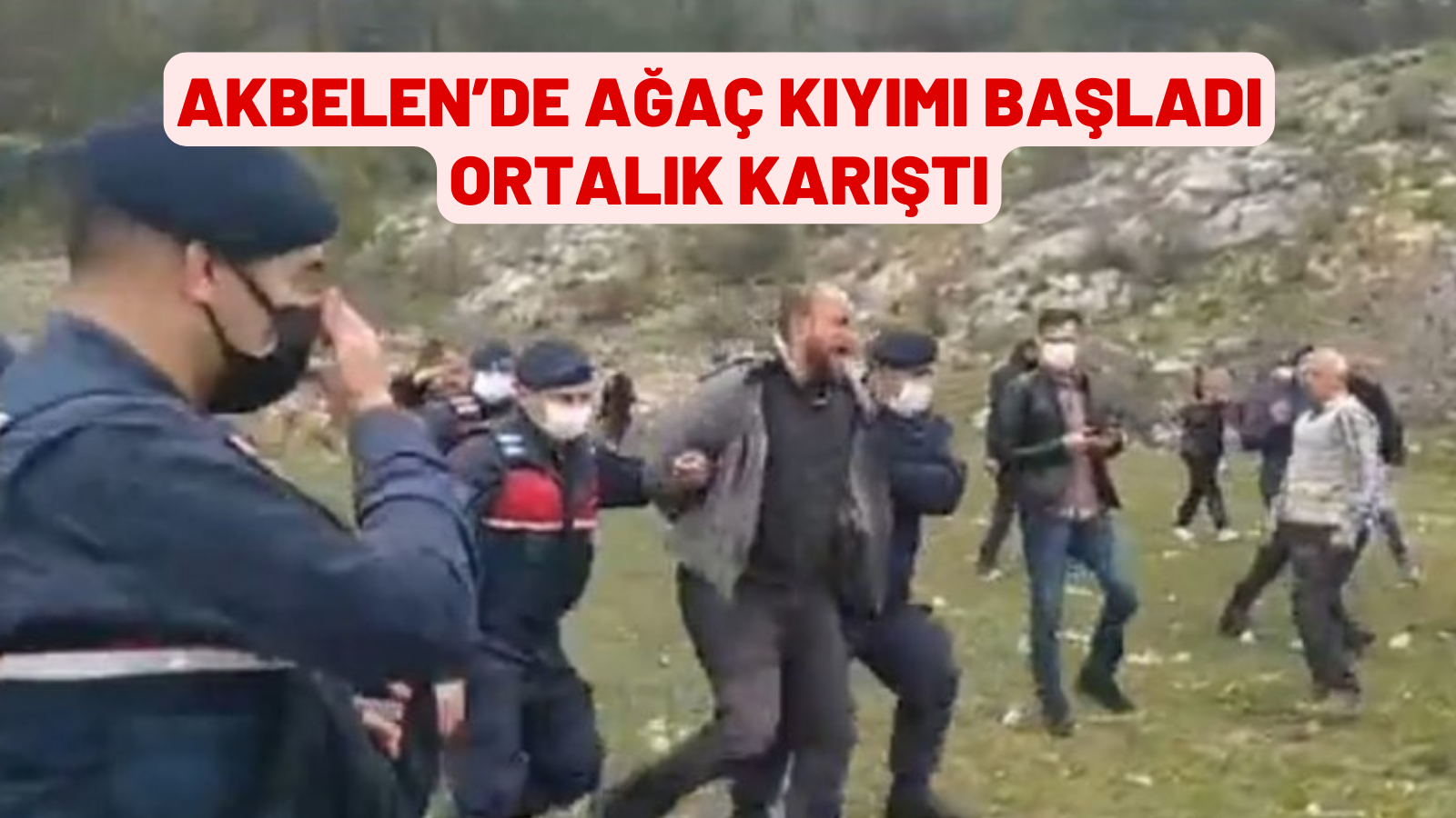 AKBELEN’DE AĞAÇ KIYIMI BAŞLADI ORTALIK KARIŞTI