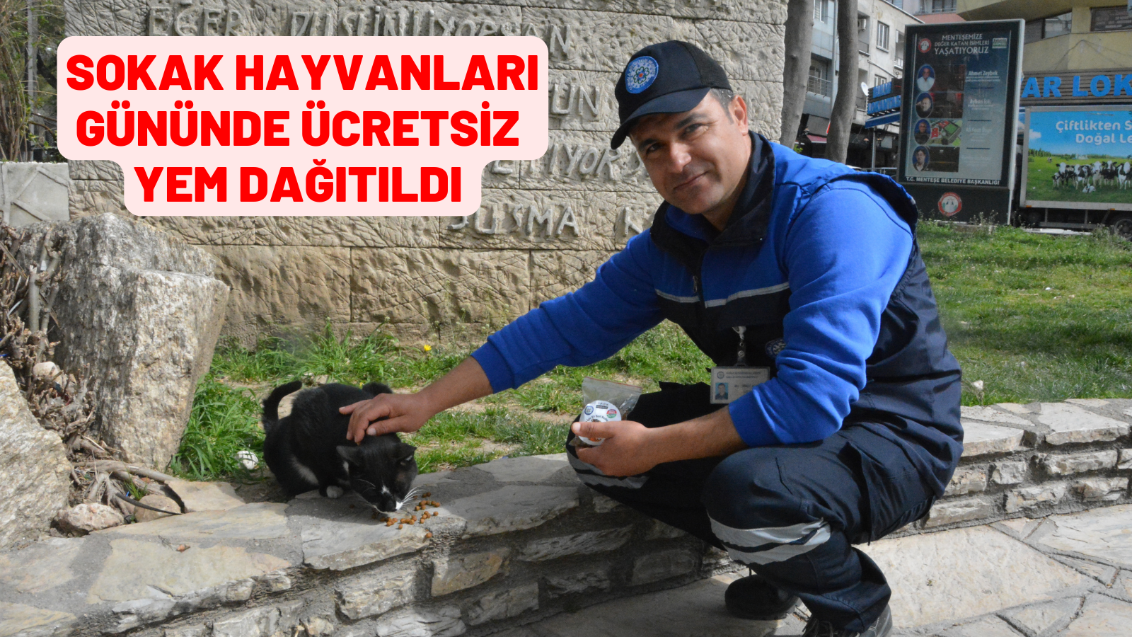 SOKAK HAYVANLARI GÜNÜNDE ÜCRETSİZ YEM DAĞITILDI