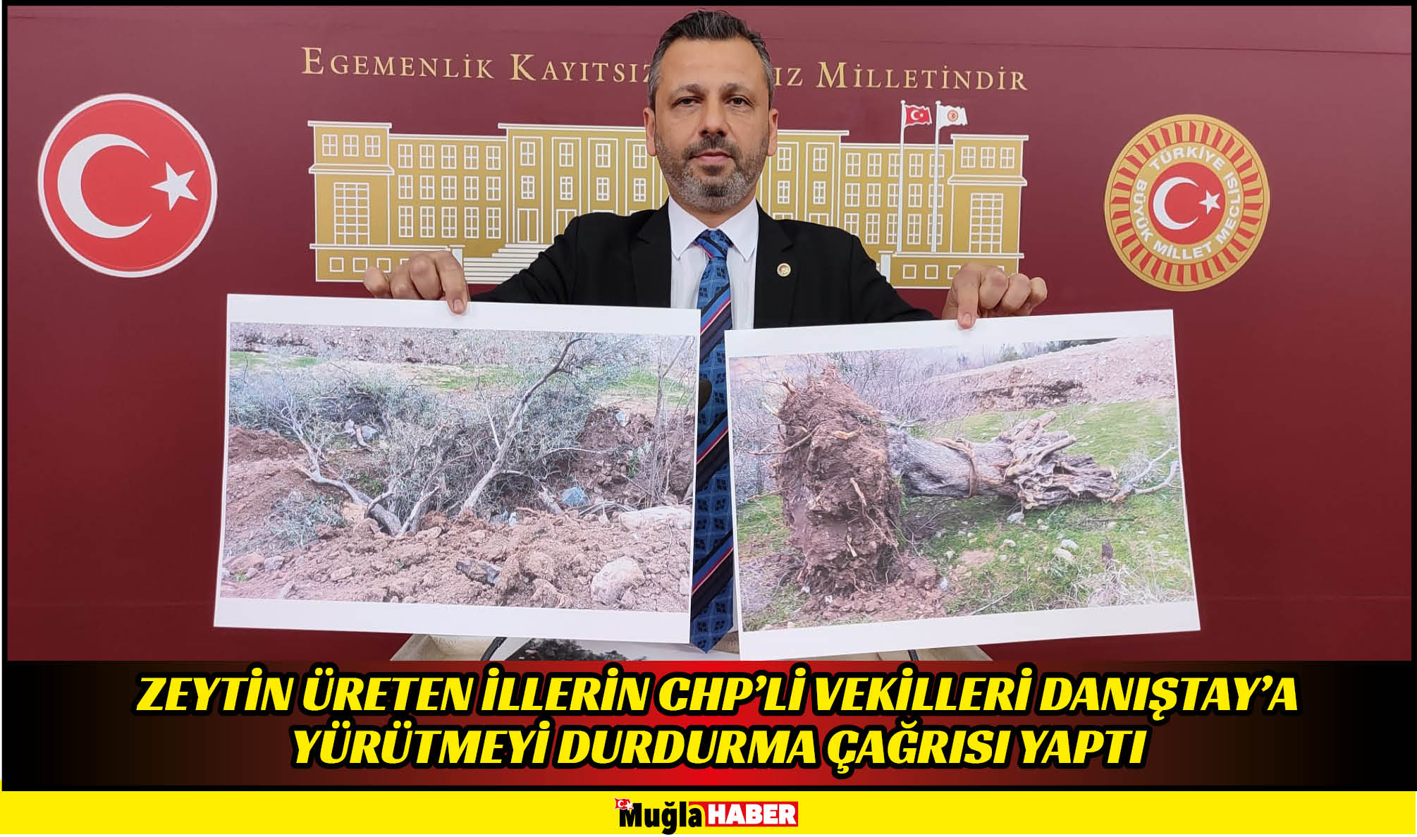 ZEYTİN ÜRETEN İLLERİN CHP’Lİ VEKİLLERİ DANIŞTAY’A YÜRÜTMEYİ DURDURMA ÇAĞRISI YAPTI