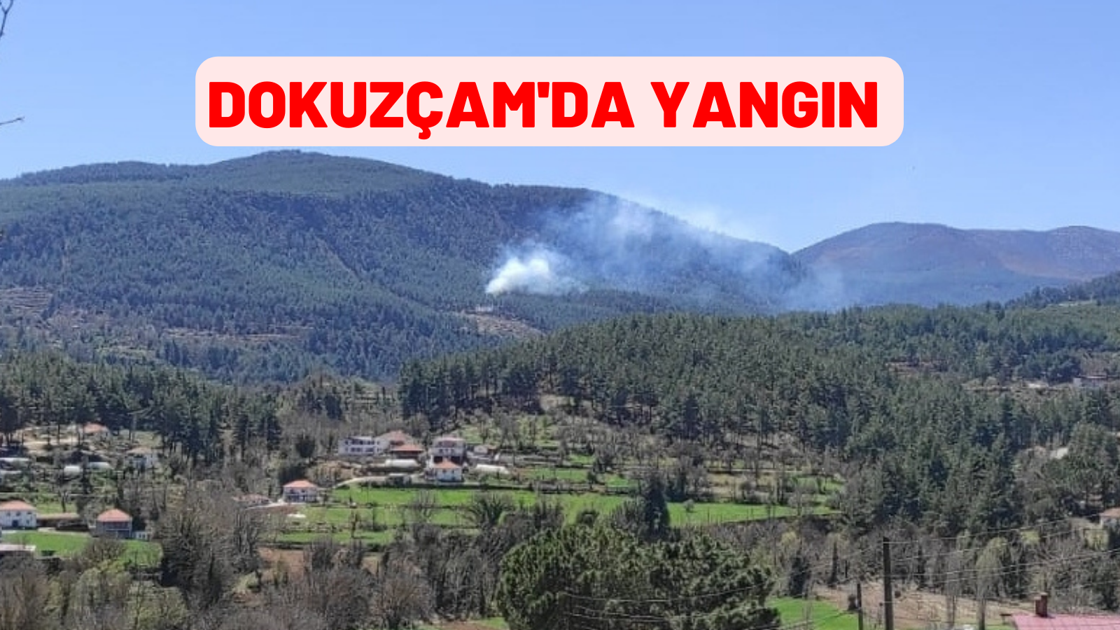 DOKUZÇAM MAHALLESİ'NDE YANGIN ÇIKTI