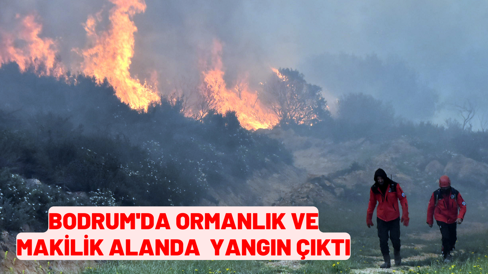 BODRUM'DA YANGIN!