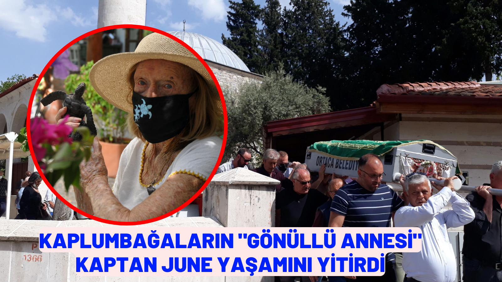 Kaplumbağaların "gönüllü annesi" Kaptan June yaşamını yitirdi