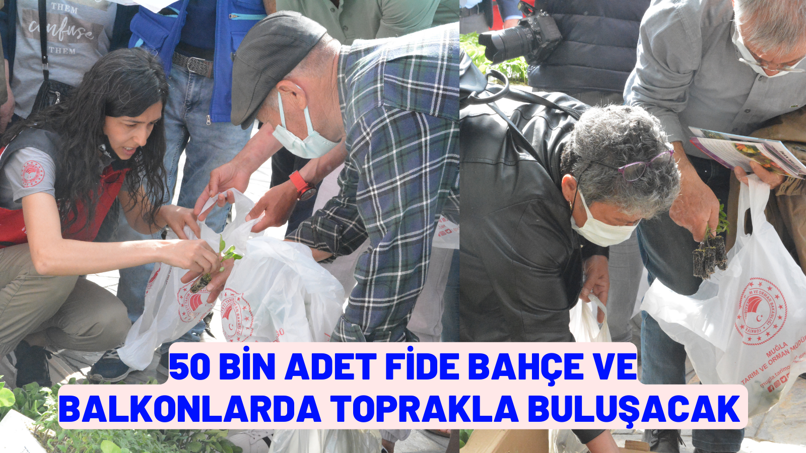 50 BİN ADET FİDE BAHÇE VE BALKONLARDA TOPRAKLA BULUŞACAK