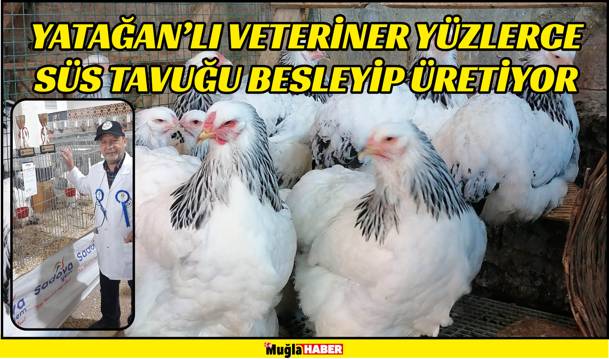 YATAĞAN’LI VETERİNER YÜZLERCE SÜS TAVUĞU BESLEYİP ÜRETİYOR