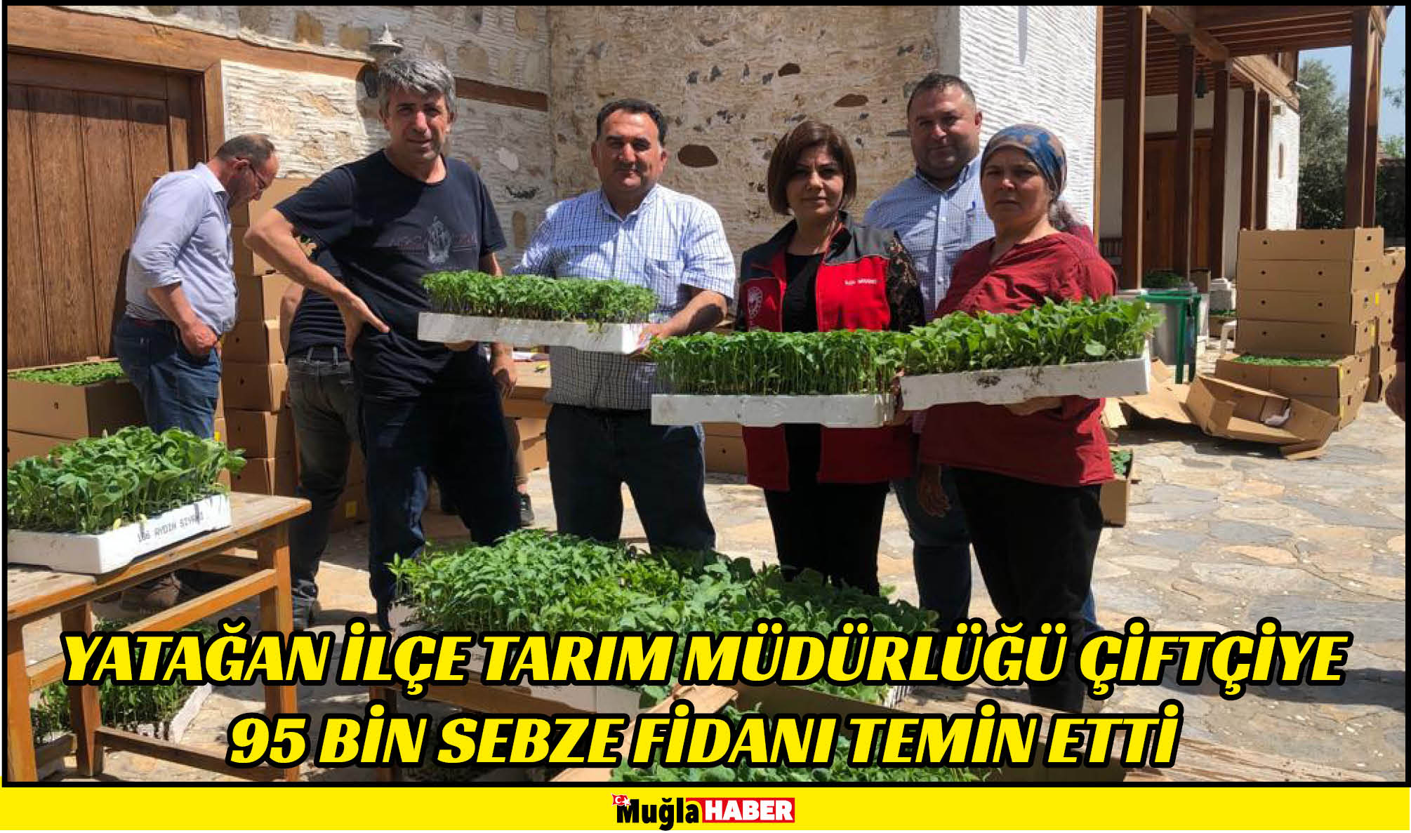 YATAĞAN İLÇE TARIM MÜDÜRLÜĞÜ ÇİFTÇİYE 95 BİN SEBZE FİDANI TEMİN ETTİ