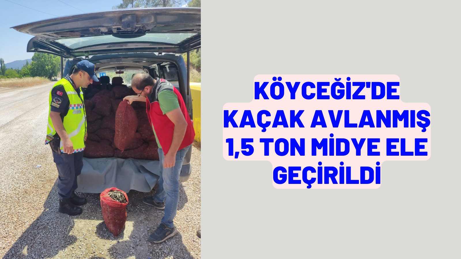 kaçak avlanmış 1,5 ton midye ele geçirildi