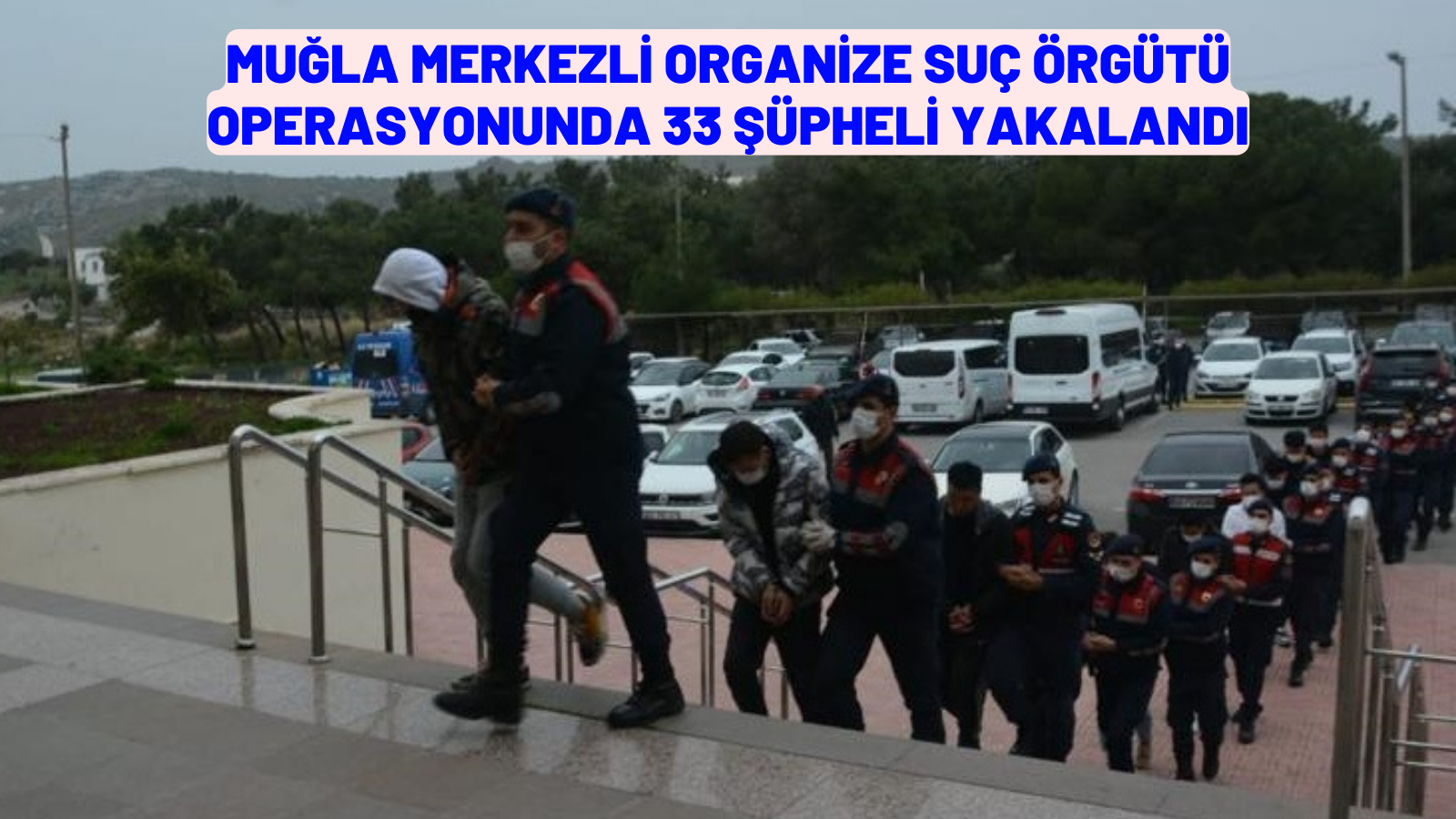 Muğla merkezli organize suç örgütü operasyonunda 33 şüpheli yakalandı