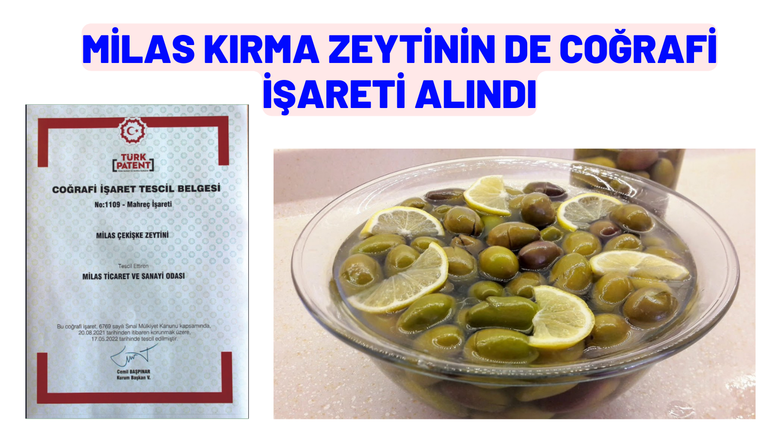 MİLAS KIRMA ZEYTİNİN DE COĞRAFİ İŞARETİ ALINDI