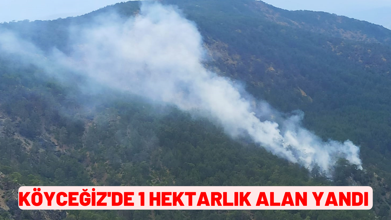 KÖYCEĞİZ'DE 1 HEKTARLIK ALAN YANDI