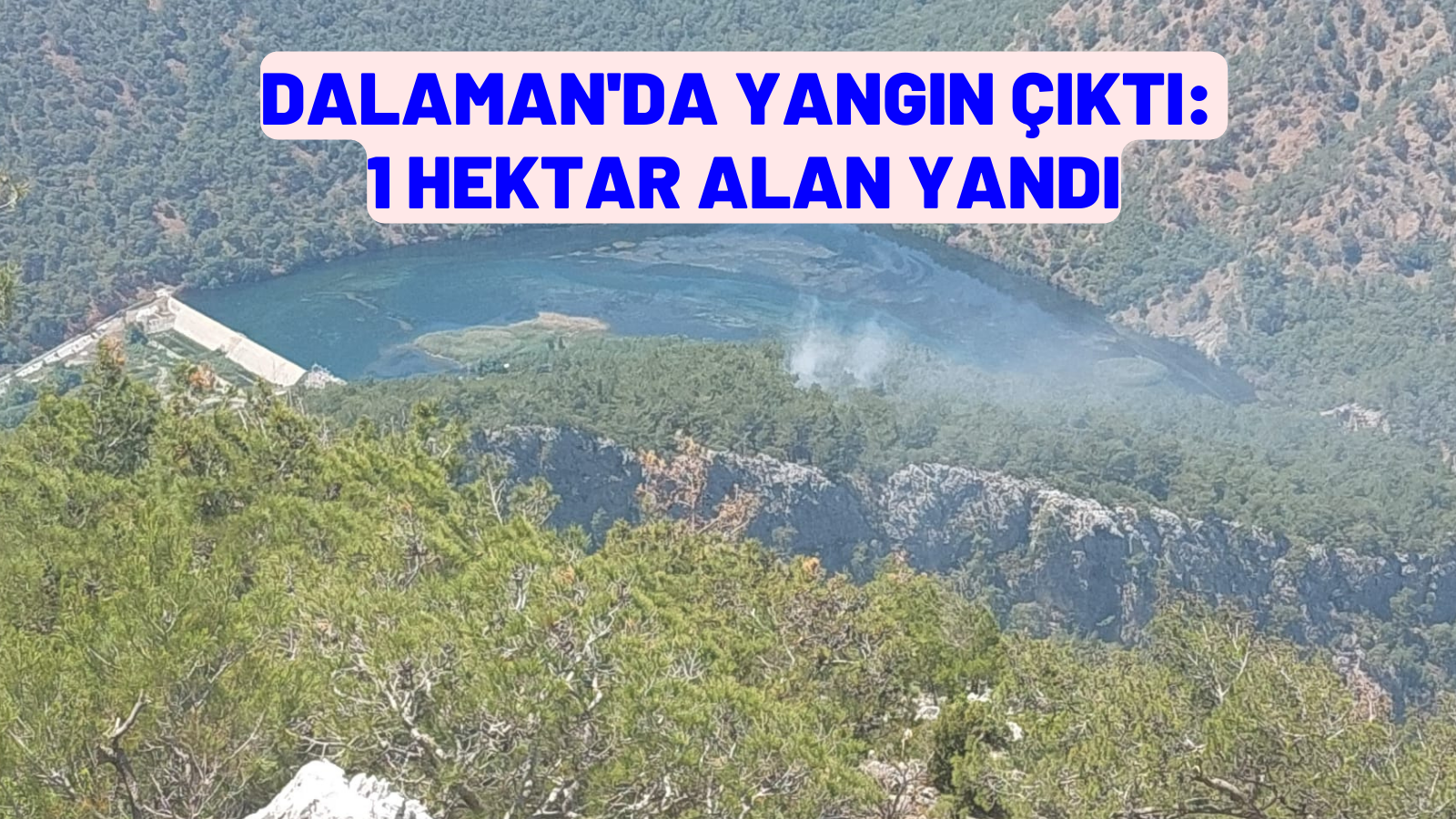 DALAMAN'DA 1 HEKTARLIK ALAN YANDI