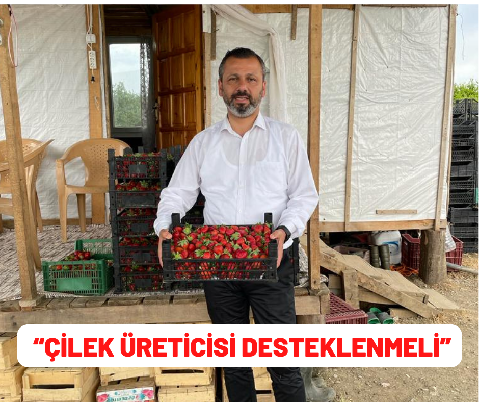 ERBAY: “ÇİLEK ÜRETİCİSİ DESTEKLENMELİ”