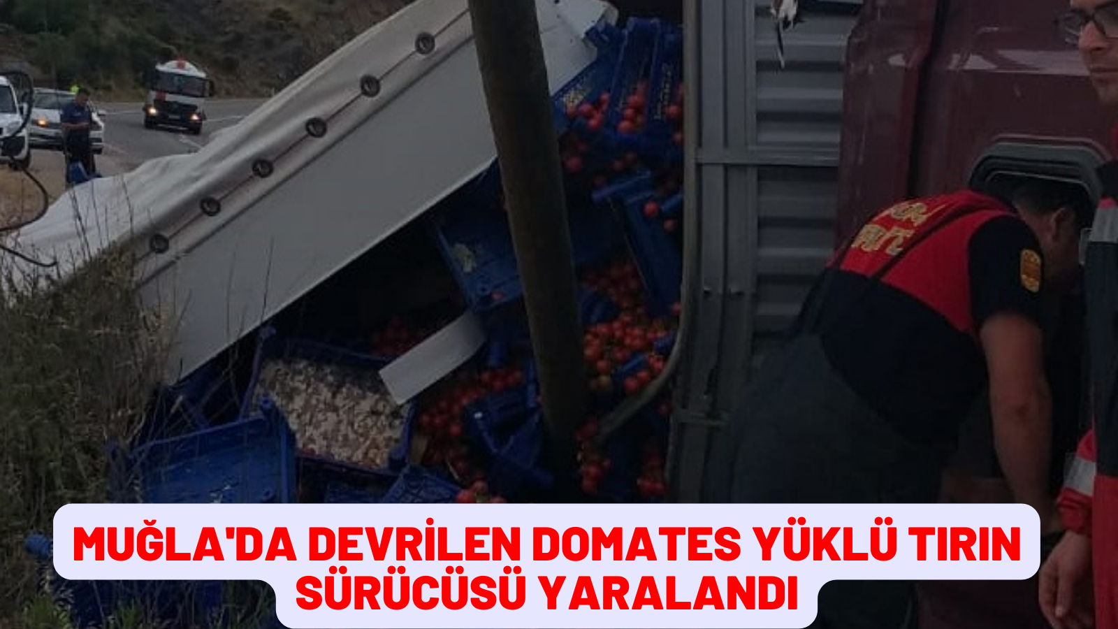 MUĞLA'DA DEVRİLEN DOMATES YÜKLÜ TIRIN SÜRÜCÜSÜ YARALANDI