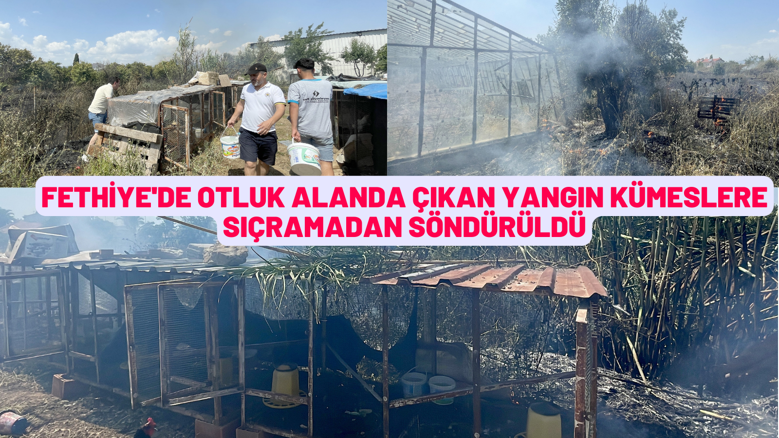 Fethiye'de otluk alanda çıkan yangın kümeslere sıçramadan söndürüldü