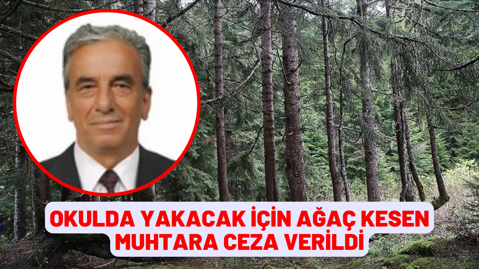 OKULDA YAKACAK İÇİN AĞAÇ KESEN MUHTARA CEZA