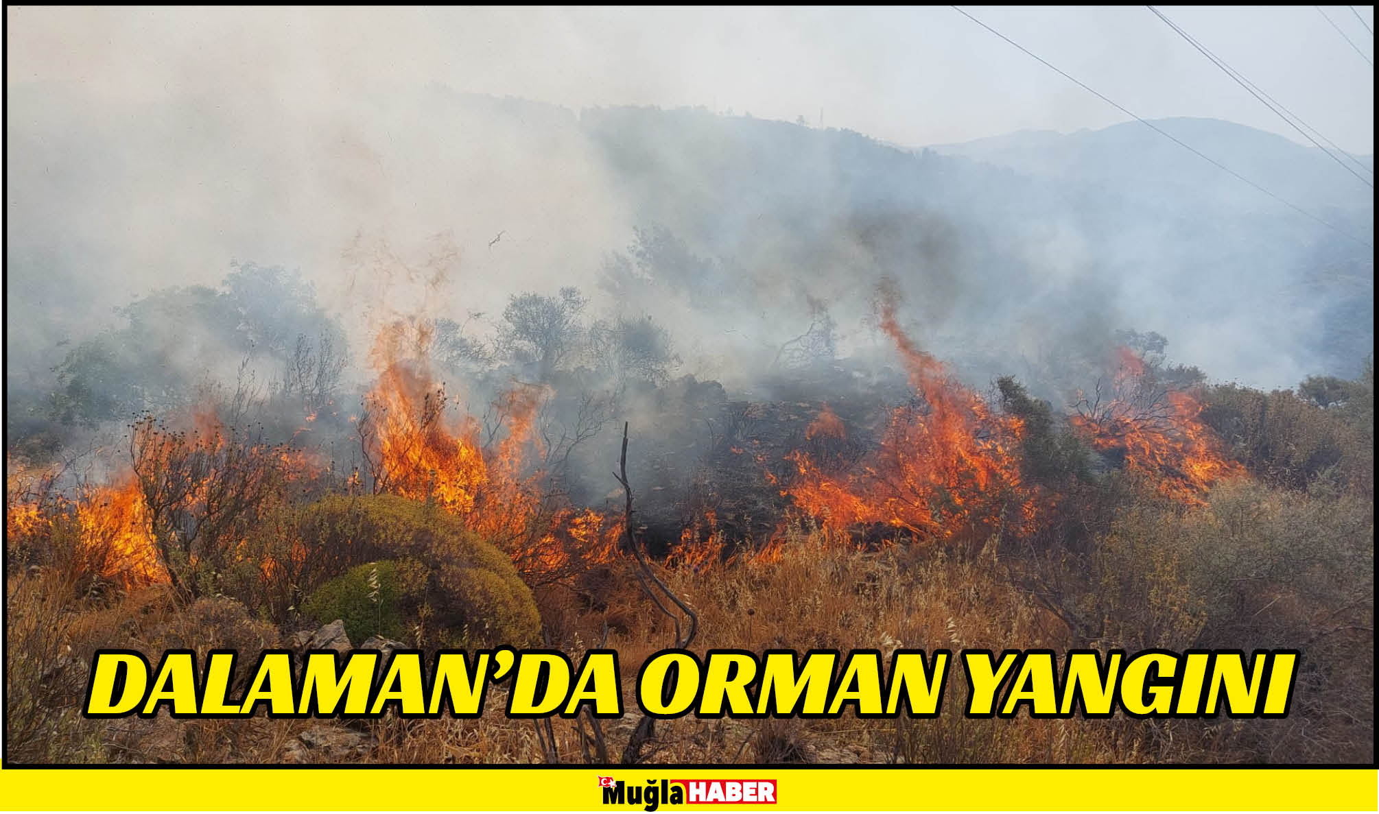 DALAMAN’DA ORMAN YANGINI