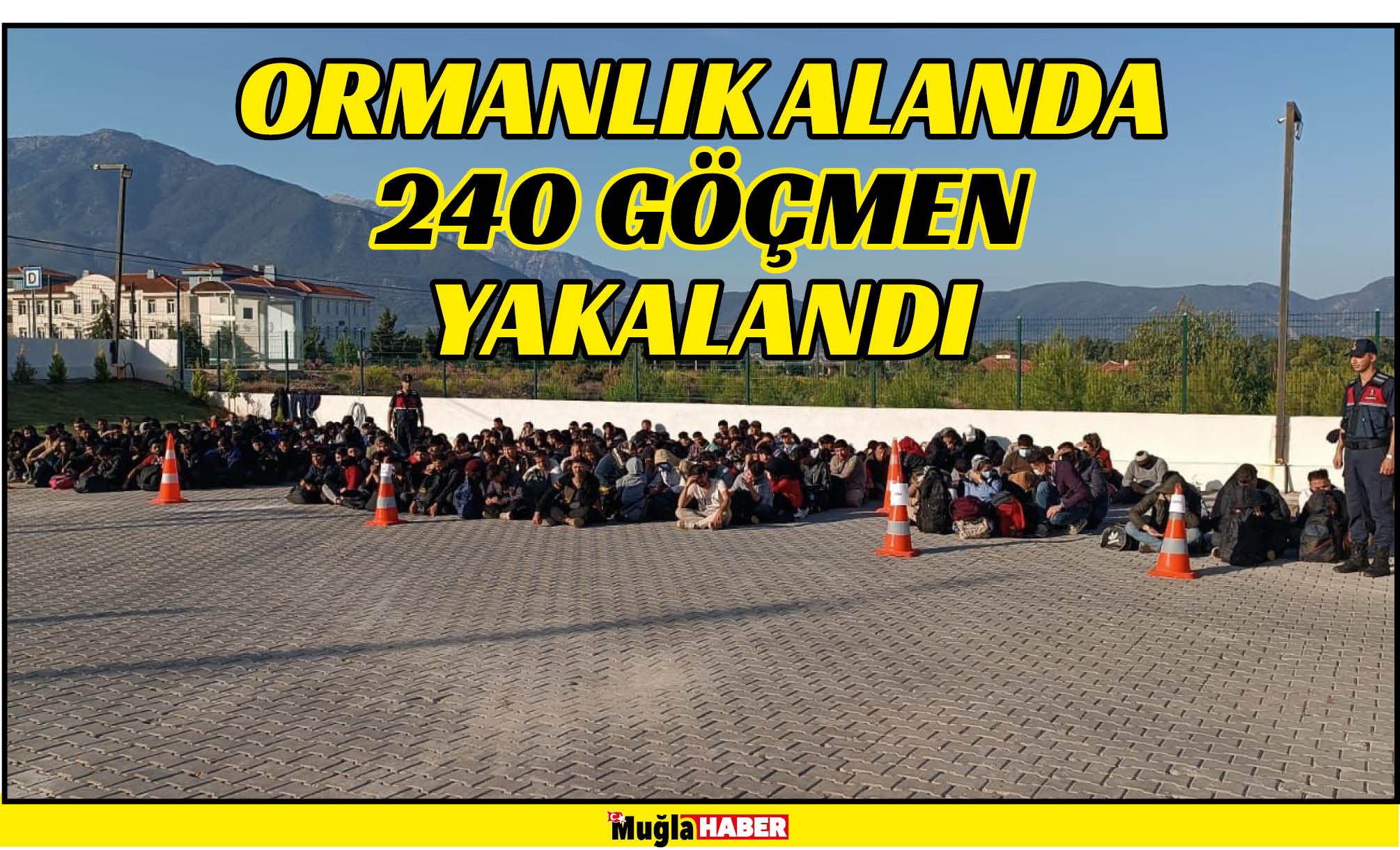 ORMANLIK ALANDA 240 GÖÇMEN YAKALANDI