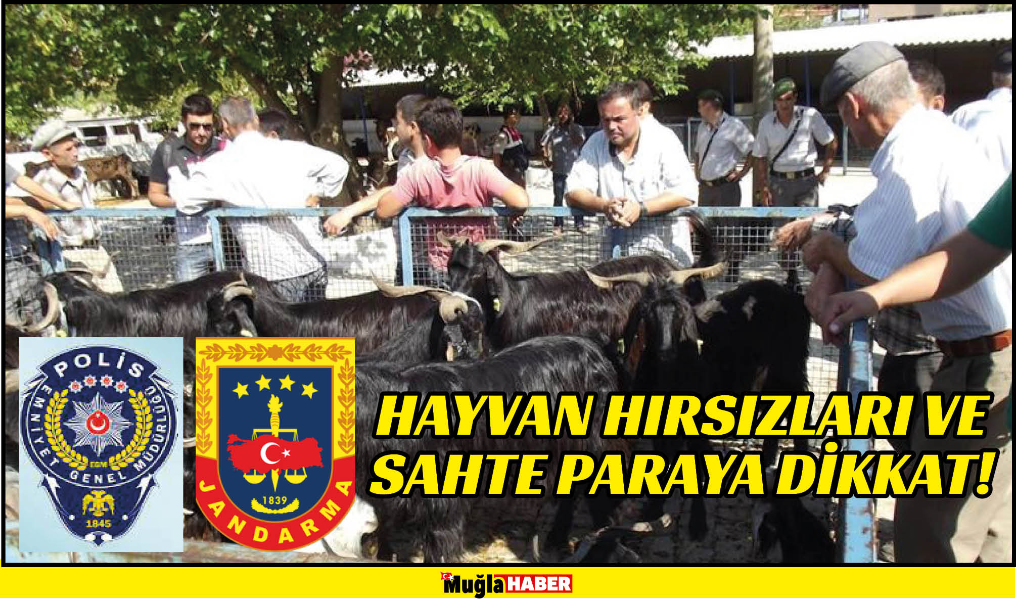 HAYVAN HIRSIZLARI VE SAHTE PARAYA DİKKAT!