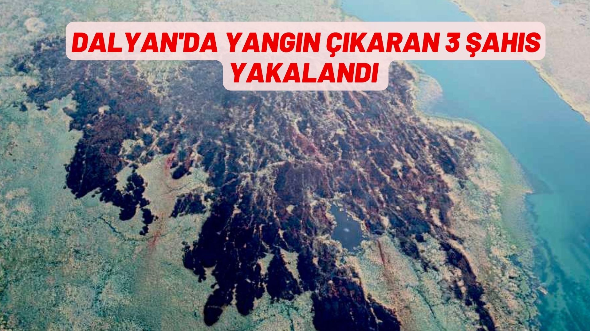 YANGIN ÇIKARAN 3 ŞAHIS YAKALANDI