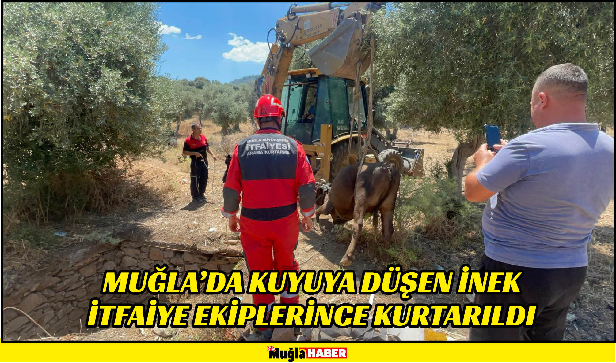 Muğla'da kuyuya düşen inek itfaiye ekiplerince kurtarıldı