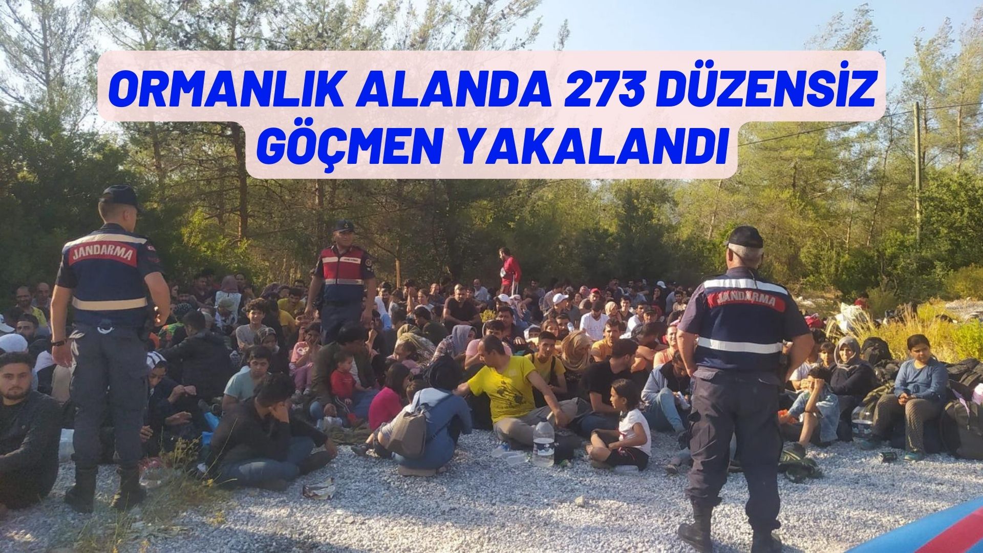 ormanlık alanda 273 düzensiz göçmen yakalandı