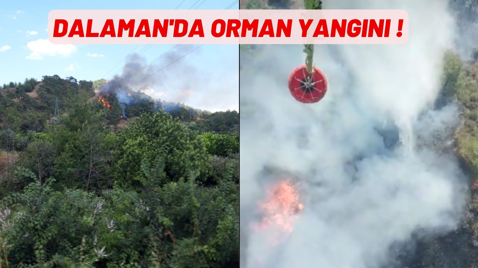 dalaman'da orman yangını çıktı!