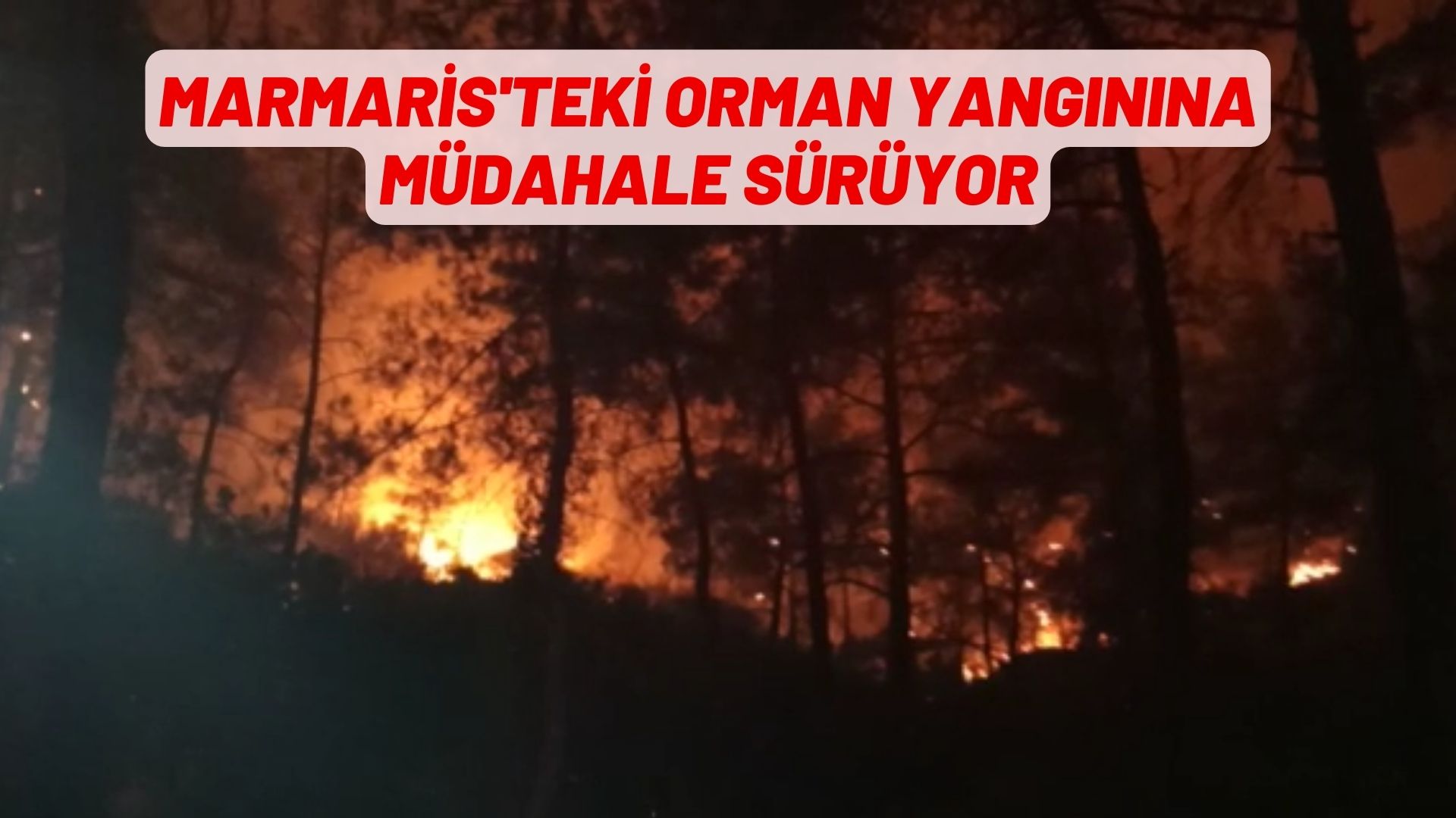 MARMARİS'TE YANGINLA MÜCADELE SÜRÜYOR!