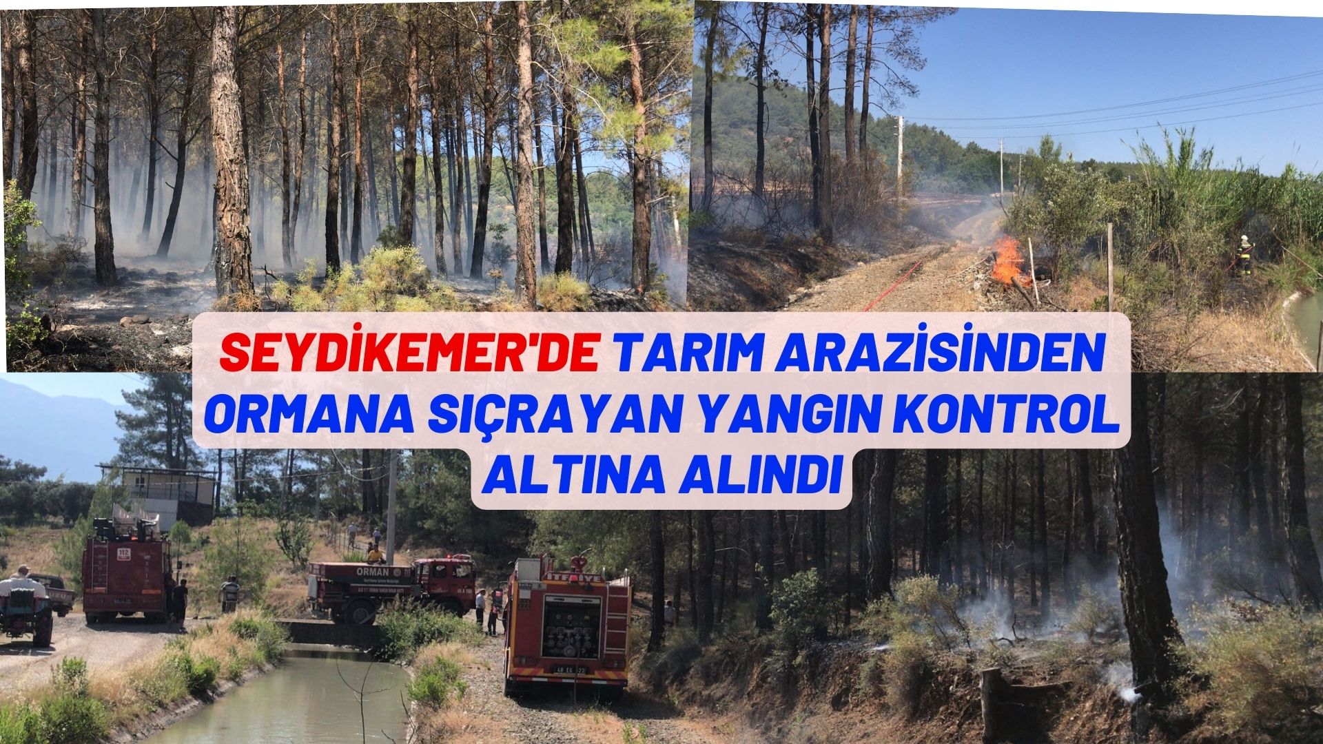 TARIM ARAZİSİNDEN ORMANA SIÇRAYAN YANGIN KONTROL ALTINA ALINDI