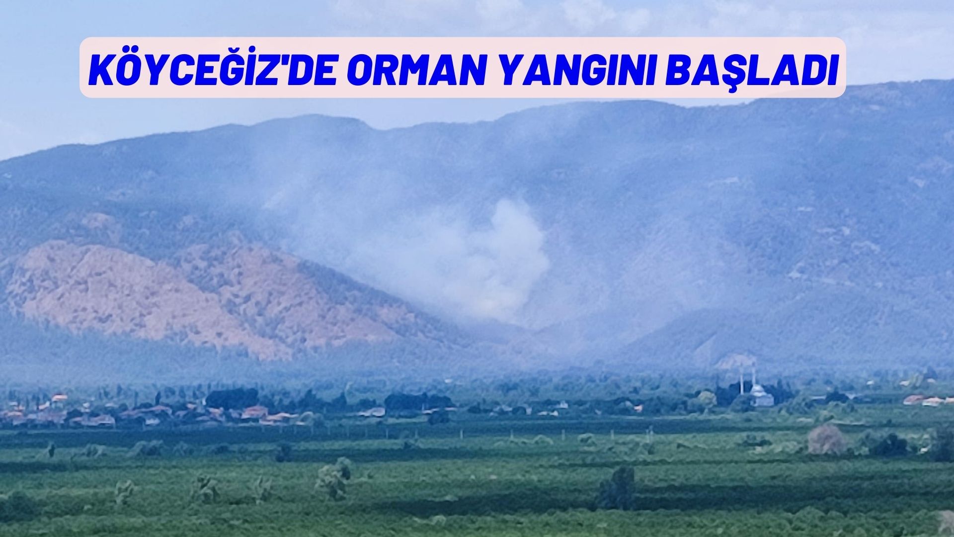 KÖYCEĞİZ'DE ORMAN YANGINI BAŞLADI