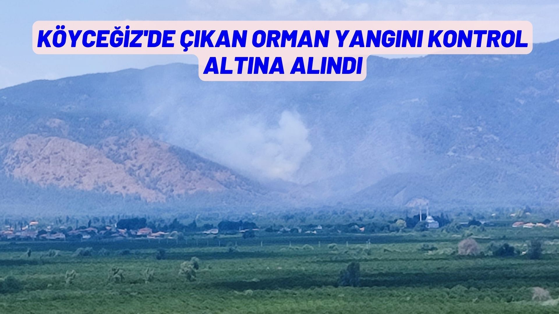 KÖYCEĞİZ'DE ÇIKAN ORMAN YANGINI KONTROL ALTINA ALINDI