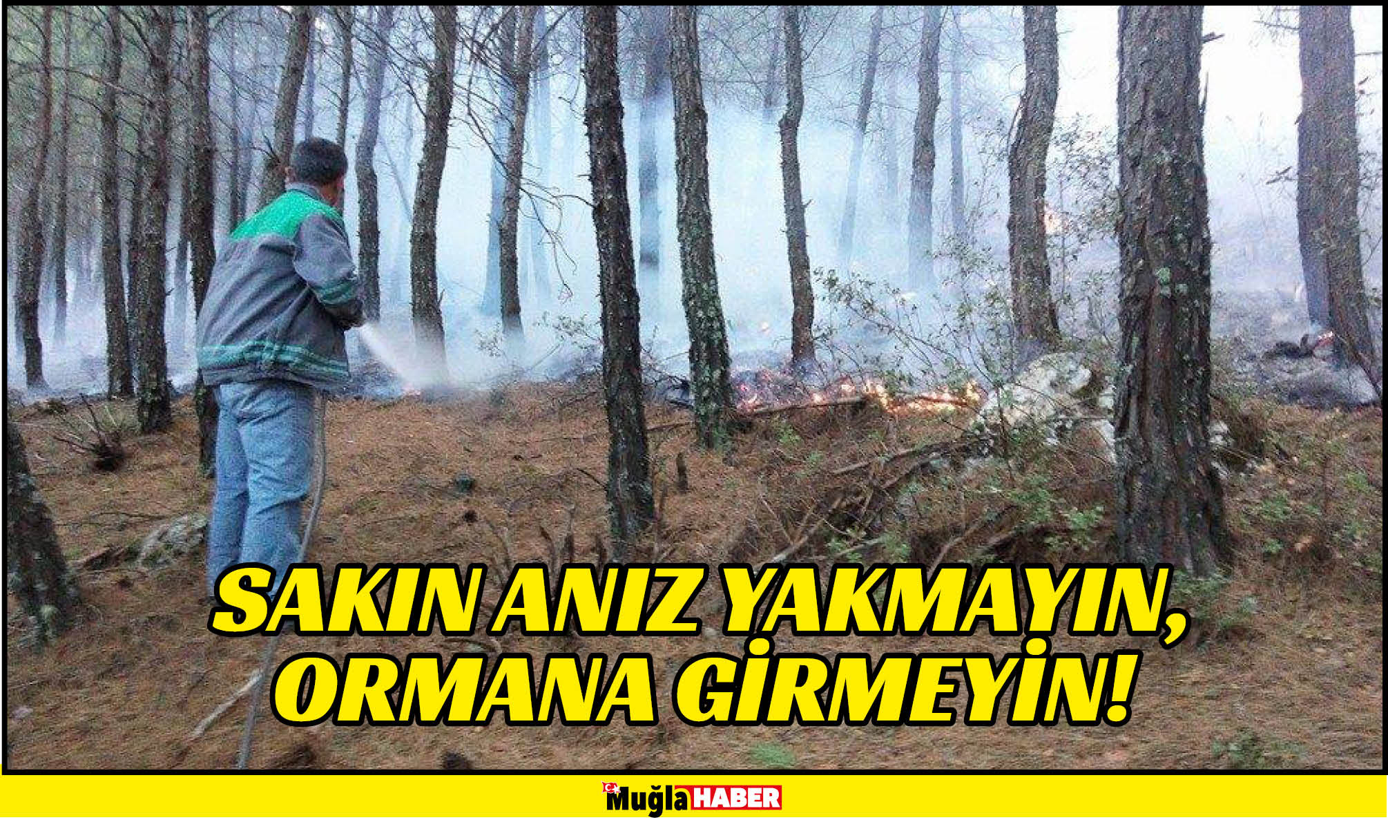 SAKIN ANIZ YAKMAYIN, ORMANA GİRMEYİN!