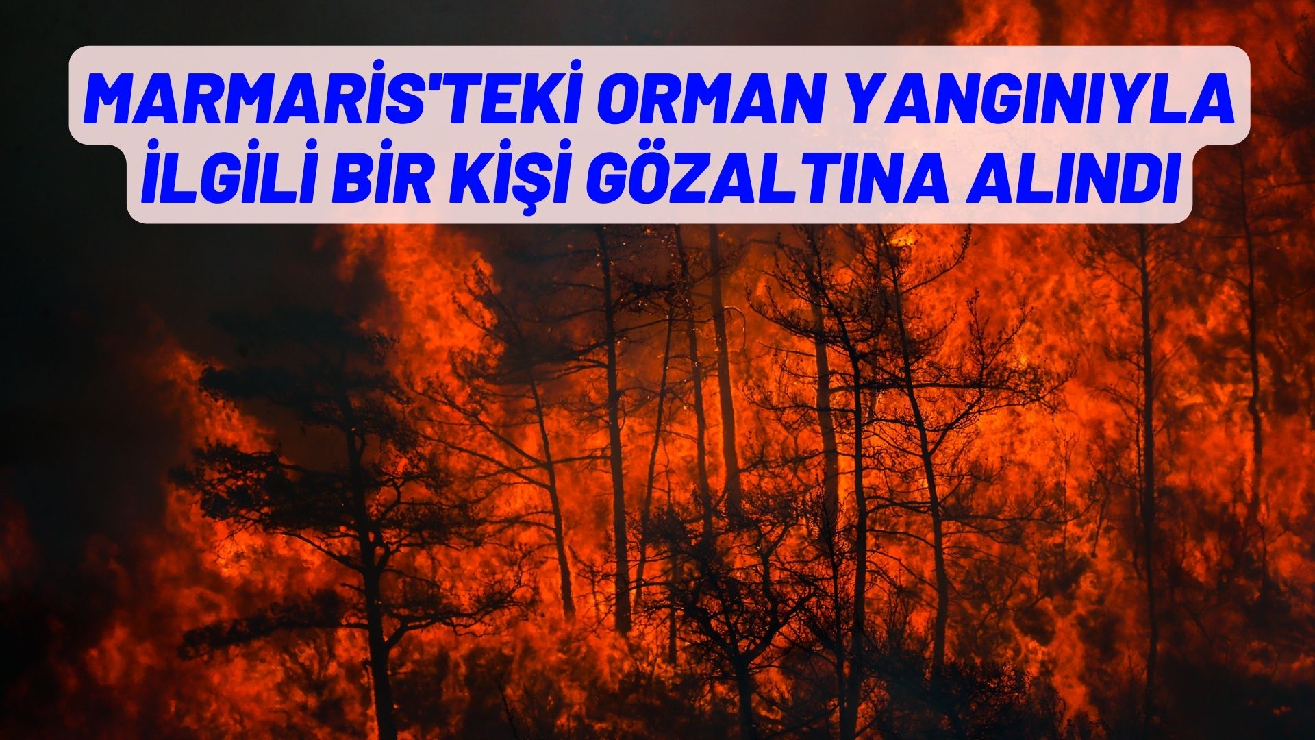 Marmaris'teki orman yangınıyla ilgili bir kişi gözaltına alındı