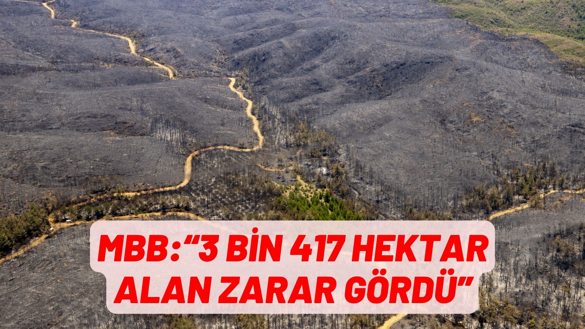 BÜYÜKŞEHİR AÇIKLADI: 3 BİN 417 HEKTAR ALAN ZARAR GÖRDÜ