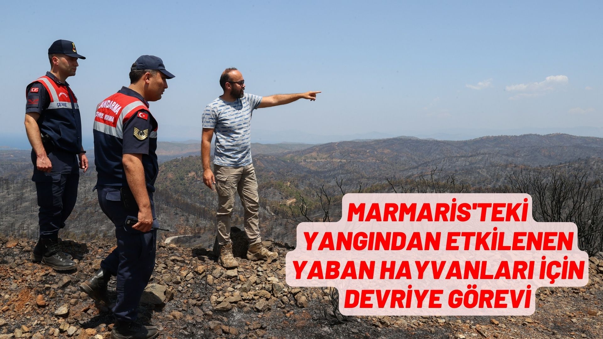 Marmaris'teki yangından etkilenen yaban hayvanları için devriye görevi