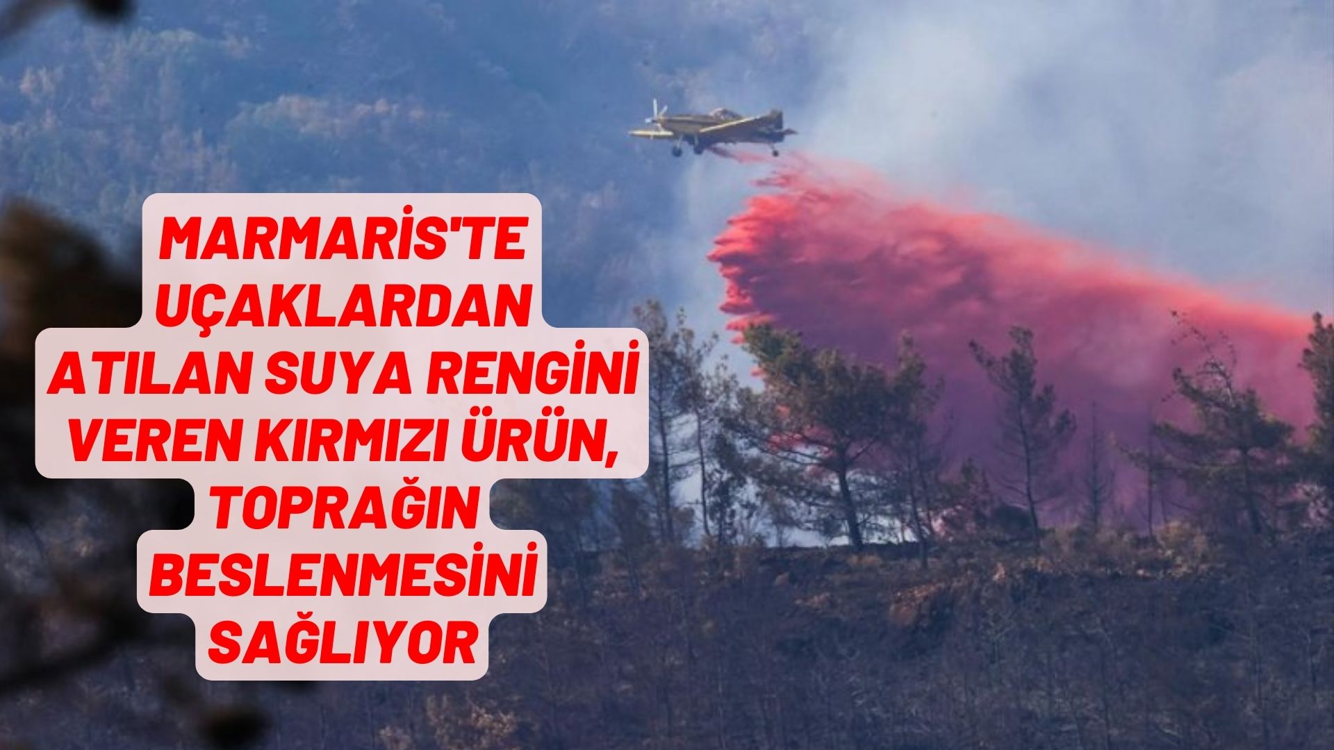 Marmaris'te uçaklardan atılan suya rengini veren kırmızı ürün, toprağın beslenmesini sağlıyor