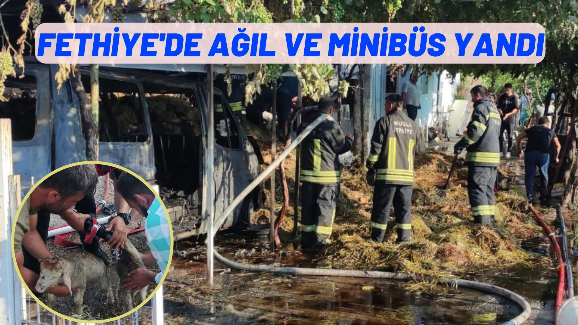 fethiye'de ağıl ve minibüs yandı