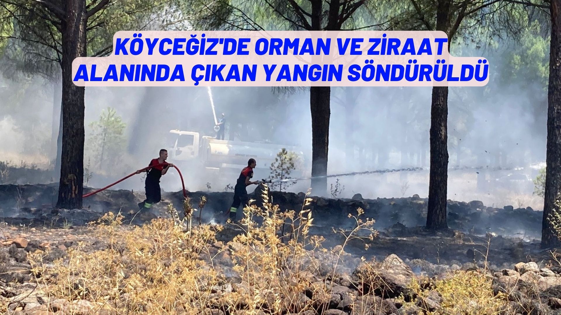 orman ve ziraat alanında çıkan yangın söndürüldü