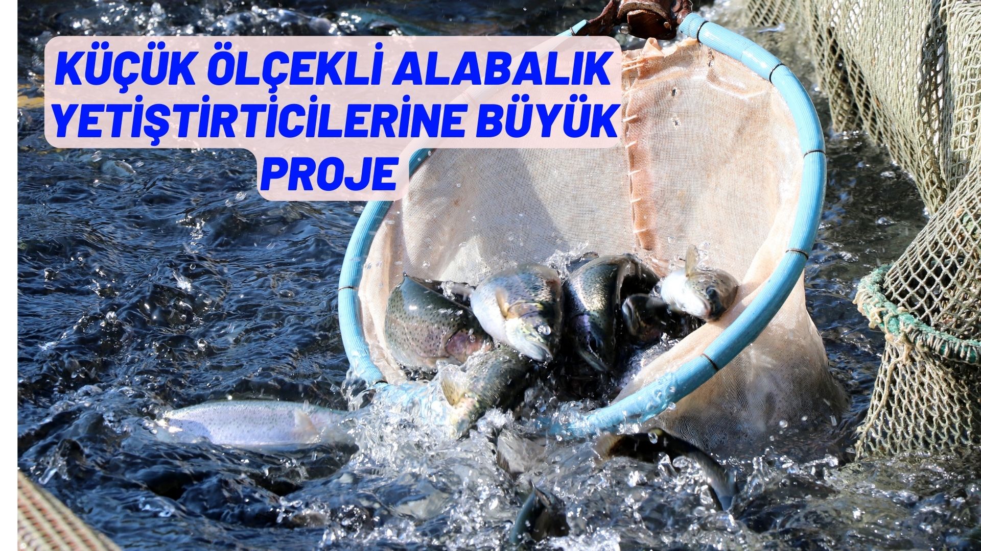 KÜÇÜK ÖLÇEKLİ ALABALIK YETİŞTİRTİCİLERİNE BÜYÜK PROJE