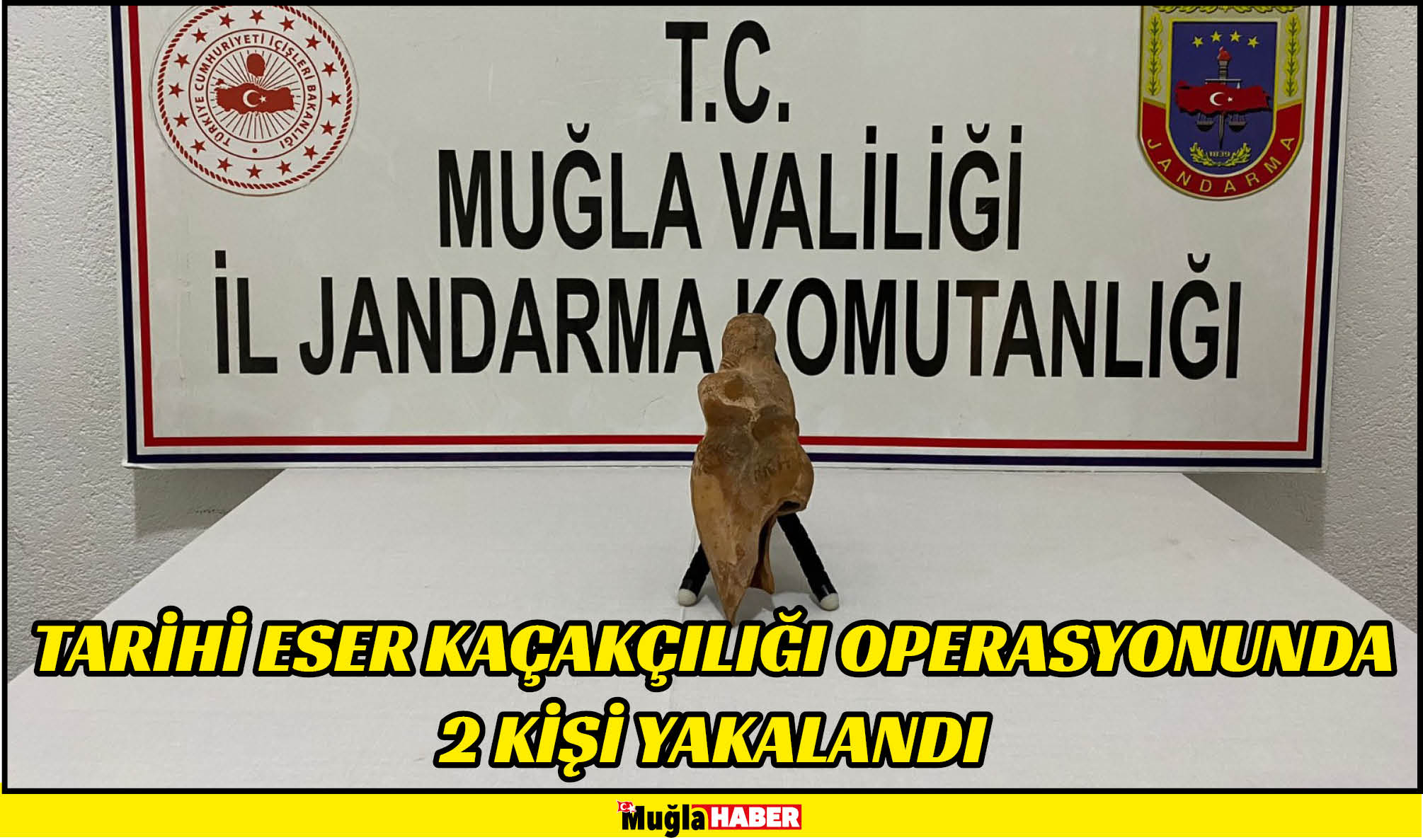 Muğla'da tarihi eser kaçakçılığı operasyonunda 2 kişi yakalandı