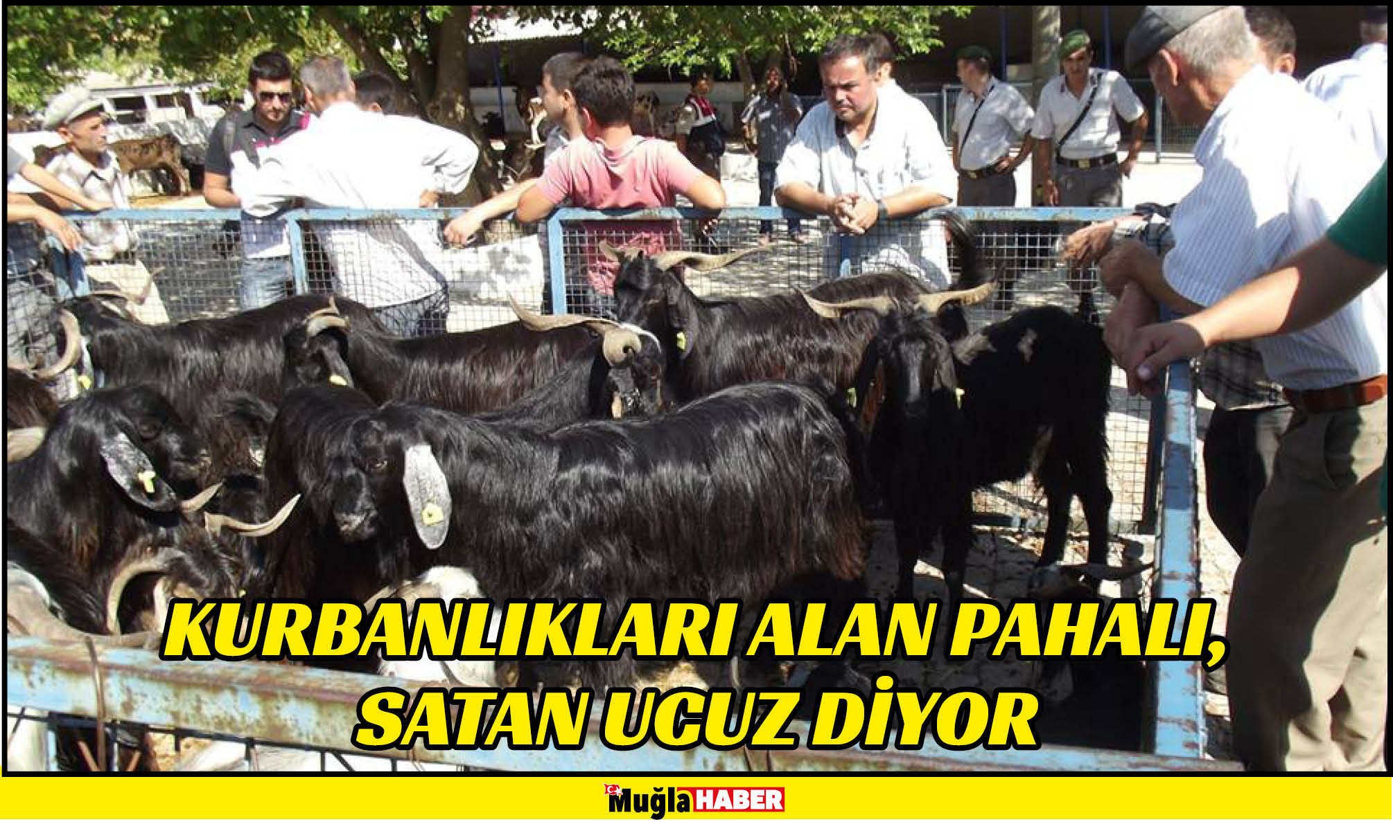 KURBANLIKLARI ALAN PAHALI, SATAN UCUZ DİYOR