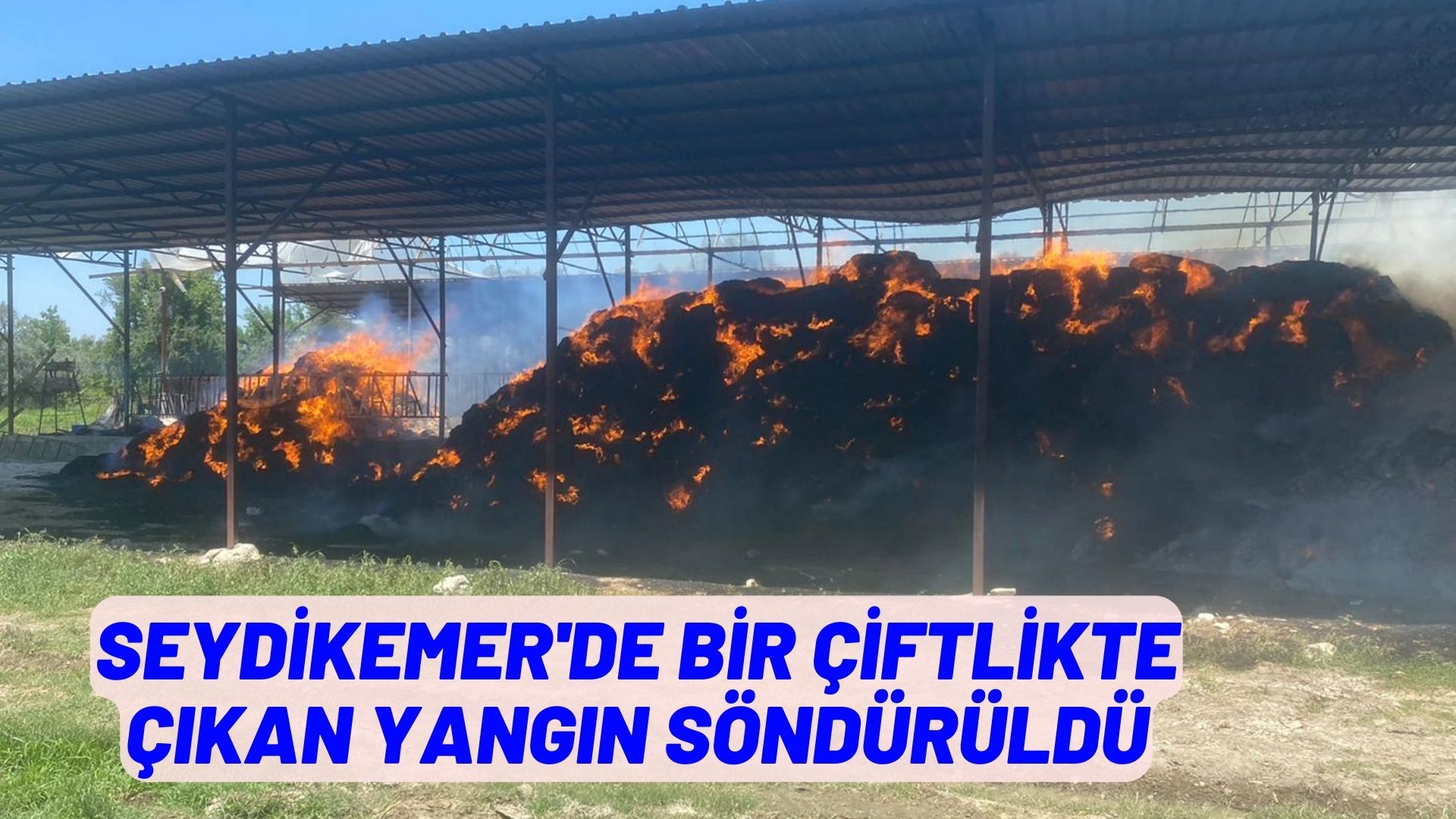 Muğla'da bir çiftlikte çıkan yangın söndürüldü