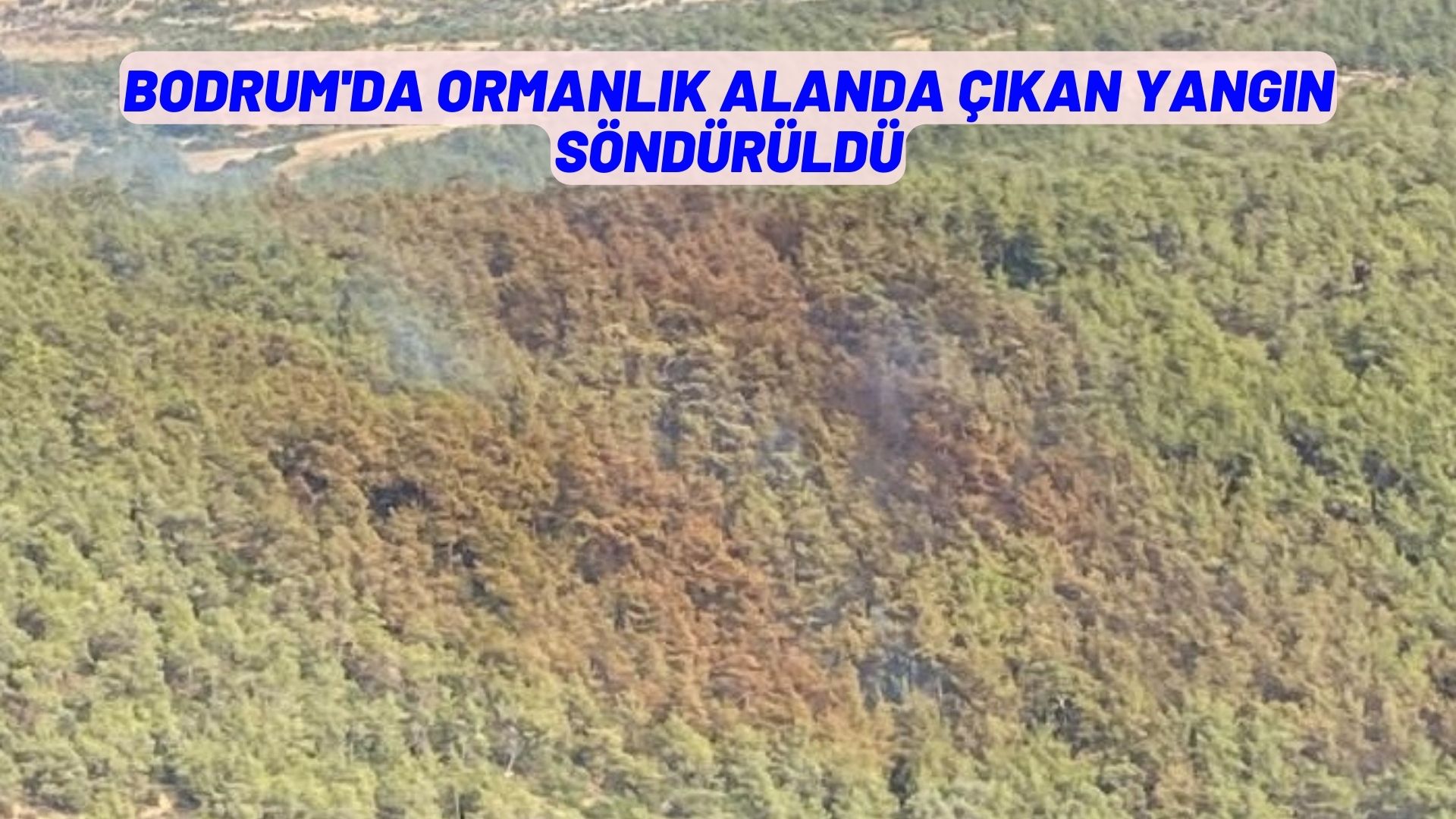 Bodrum'da ormanlık alanda çıkan yangın söndürüldü