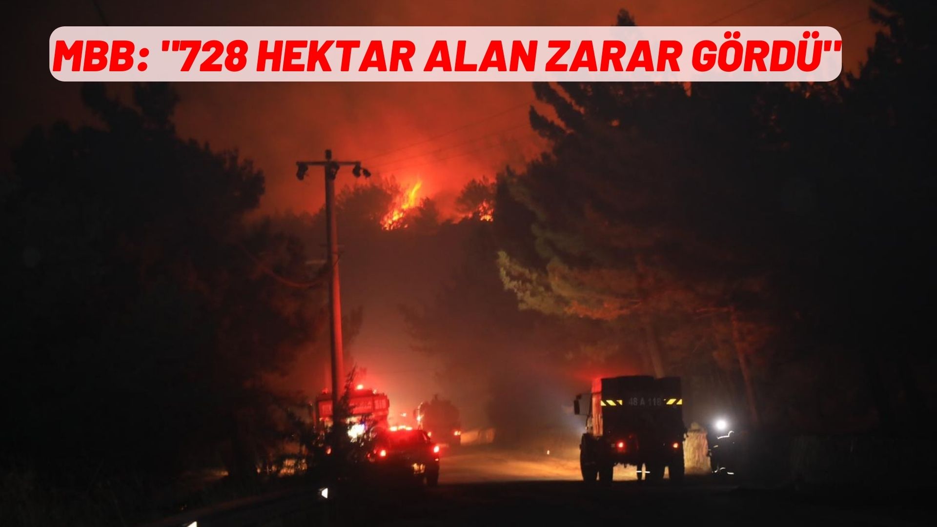 728 HEKTAR ALAN ZARAR GÖRDÜ