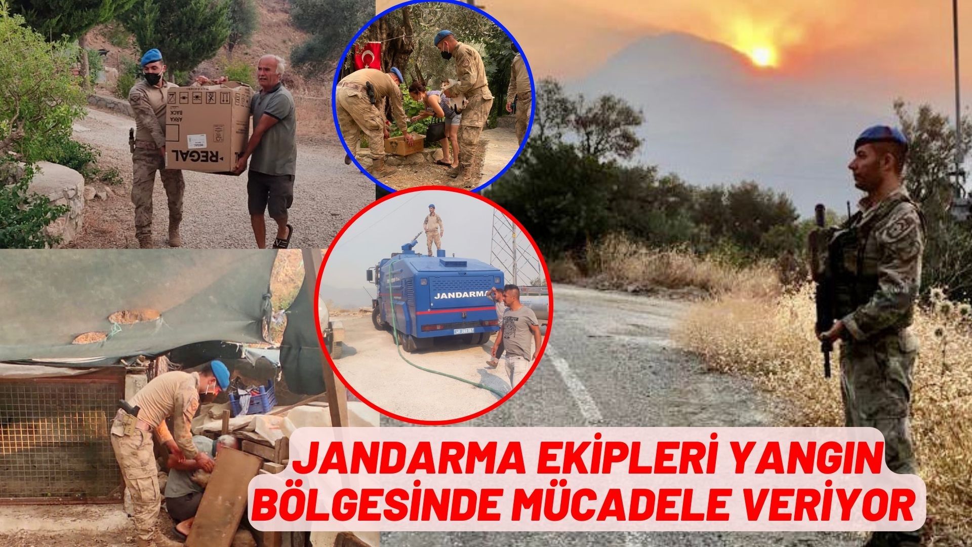 JANDARMA EKİPLERİ YANGIN BÖLGESİNDE MÜCADELE VERİYOR