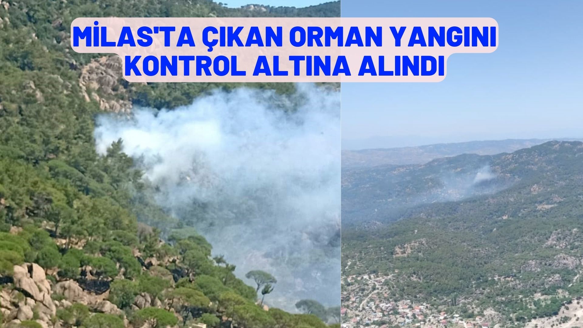 Milas'ta çıkan orman yangını kontrol altına alındı