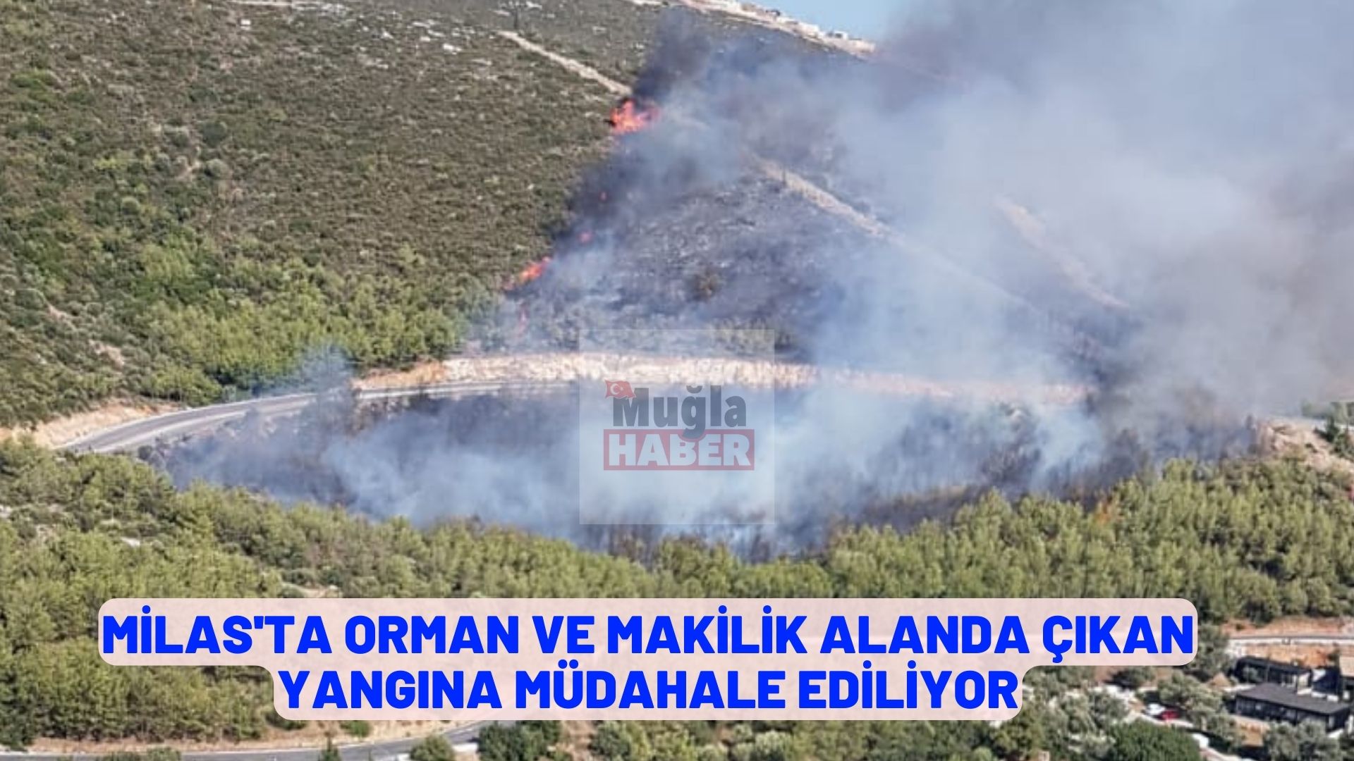 Milas'ta orman ve makilik alanda çıkan yangına müdahale ediliyor