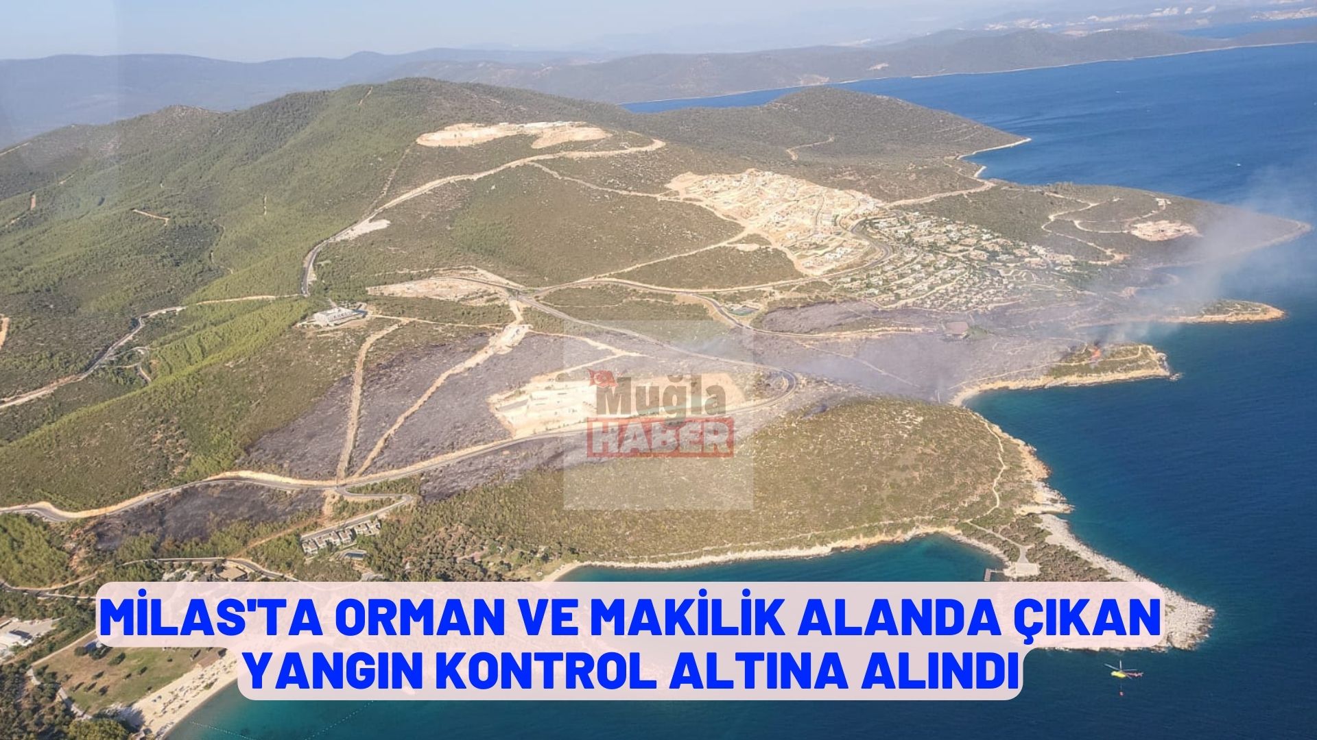 MİLAS'TA BAŞLAYAN YANGIN KONTROL ALTINA ALINDI