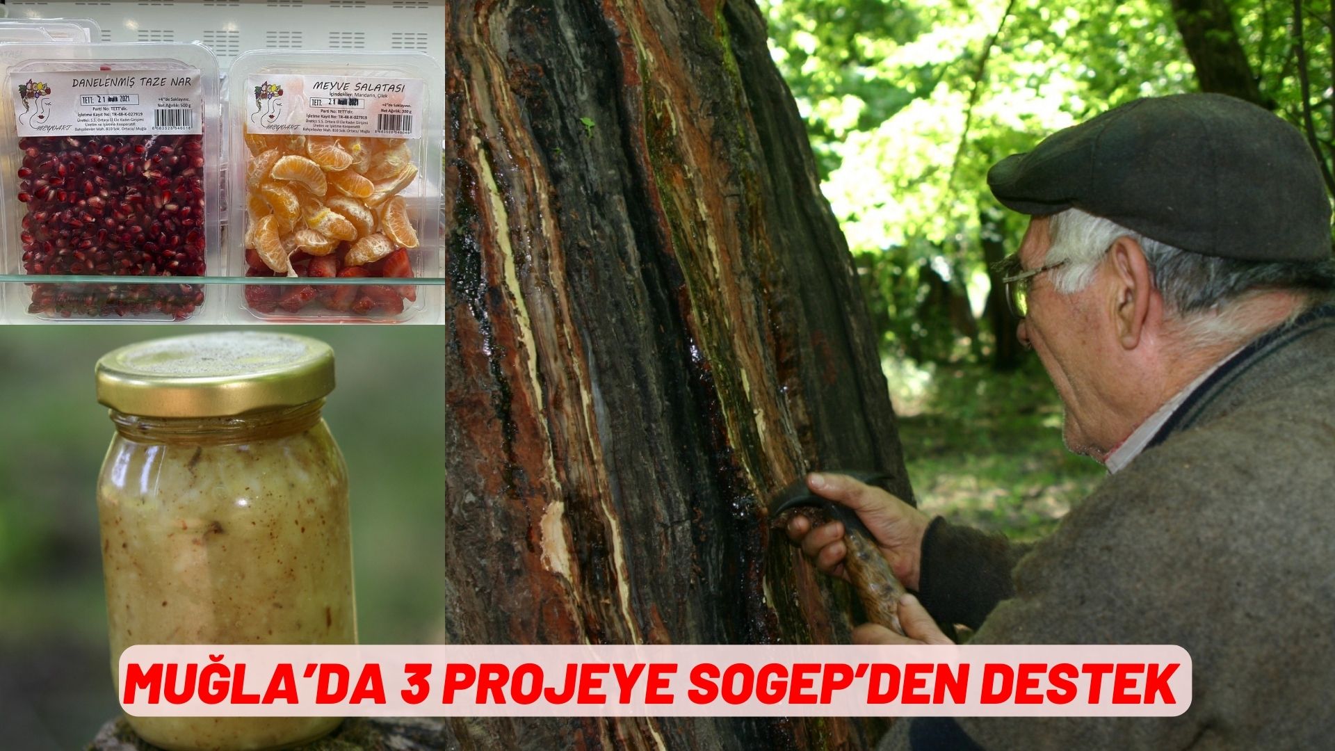 MUĞLA’DA 3 PROJEYE SOGEP’DEN DESTEK