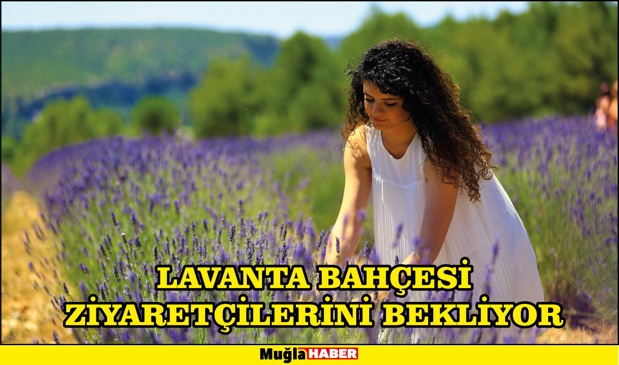 LAVANTA BAHÇESİ ZİYARETÇİLERİNİ BEKLİYOR